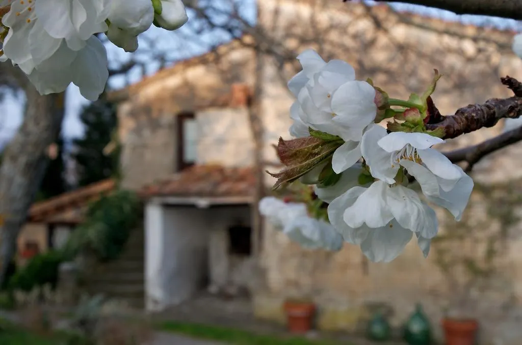 Podere Pinzicalari Castel del Piano  Italy
